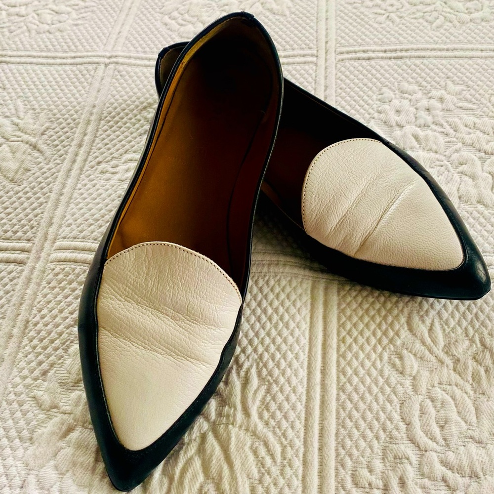 Everlane Italia The Modern Loafer Pointed Leather Flat, 6